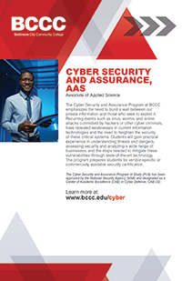 Cyber Security and Assurance, AAS