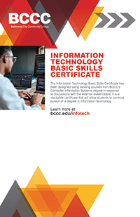 Information Technology Basic Skills Certificate